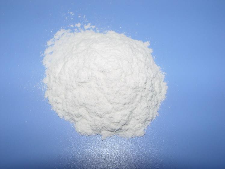 Huperzia Serrate Extract