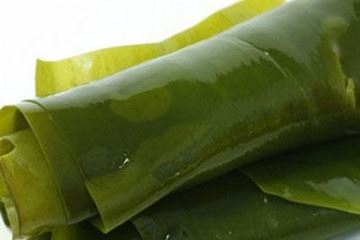 kelp