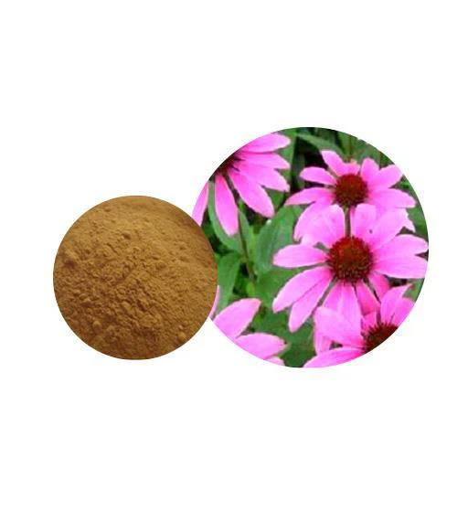Coneflower Extract