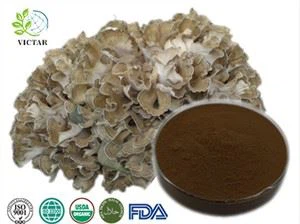 Maitake Extract