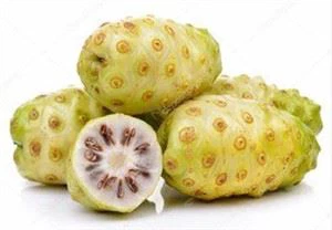Noni Txiv Hmab Txiv Ntoo Powder