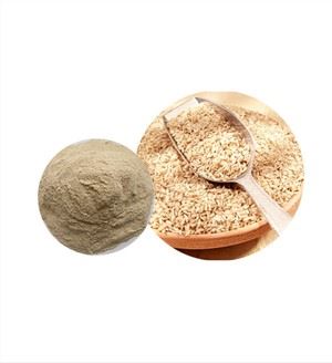 Organic Brown Rice Protein