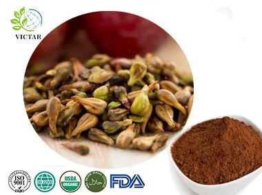 Grape Seed Extract
