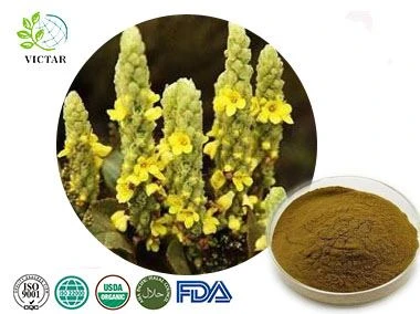 Mullein Extract