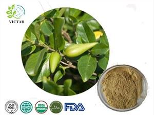 Gymena Extract