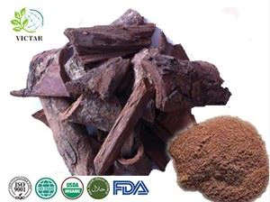 Pygeum Bark Extract