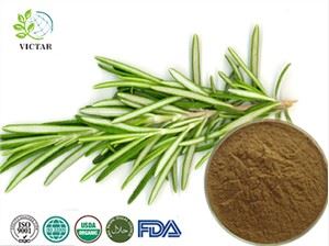 Rosemary Extract hmoov