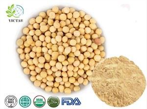 Soybean Extract Soy Isoflavone
