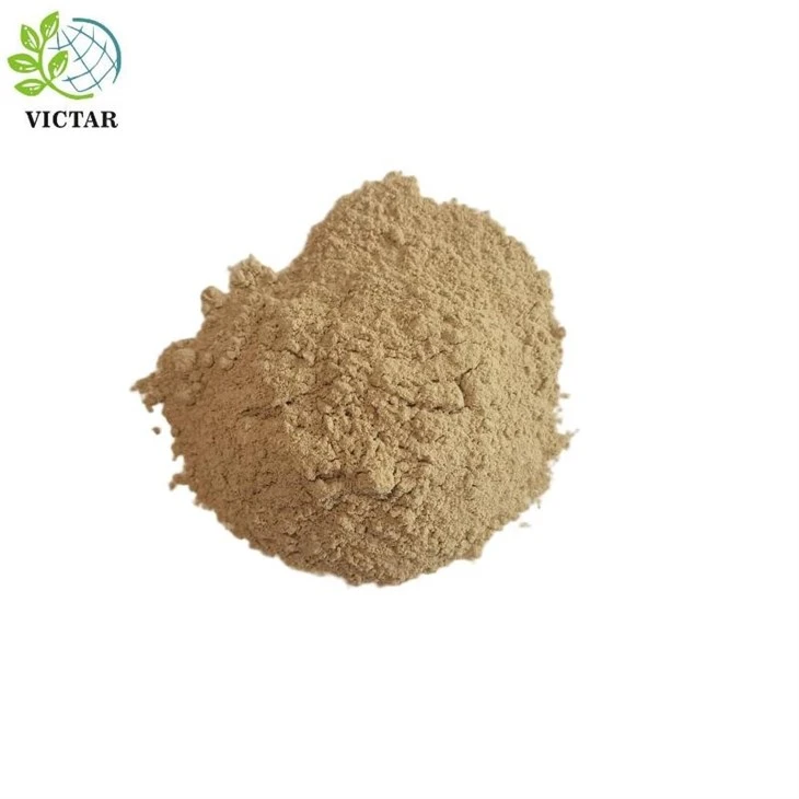 Astragalus hmoov