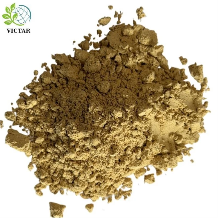 Cassia Seed Powder