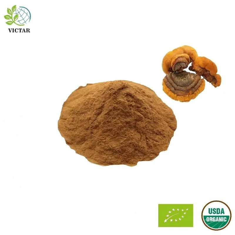 Organic Phellinus Linteus Extract