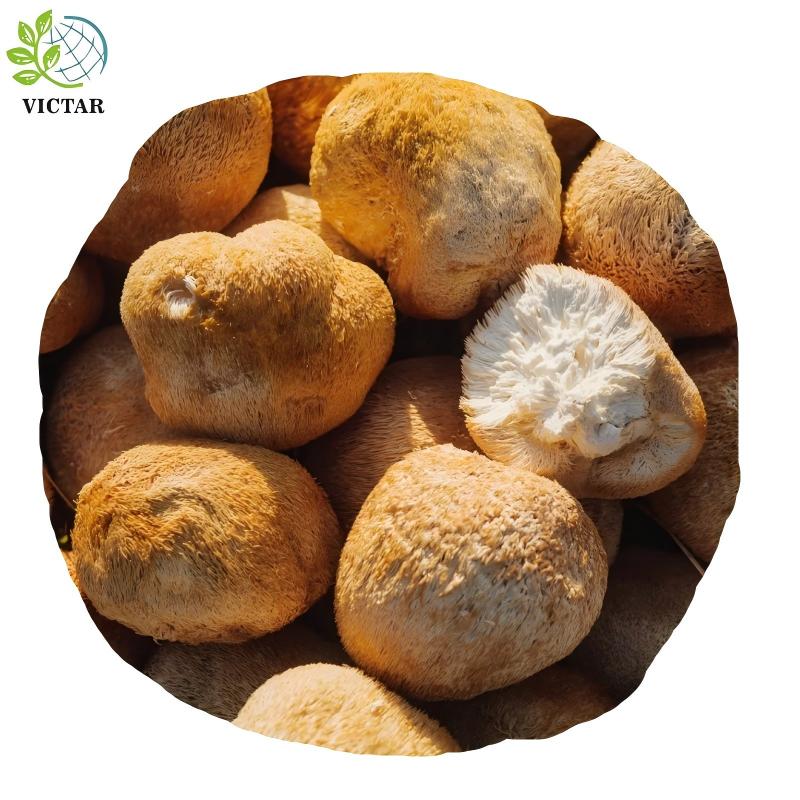 product-800-800