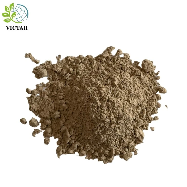 Psyllium hmoov