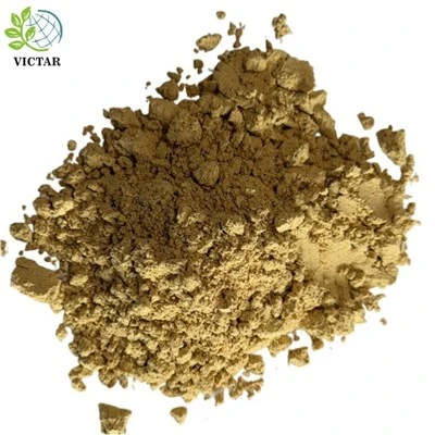 Cassia Seed Powder