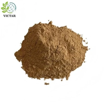 Lion's Mane Mushroom Powder